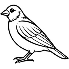 Finch line art vector