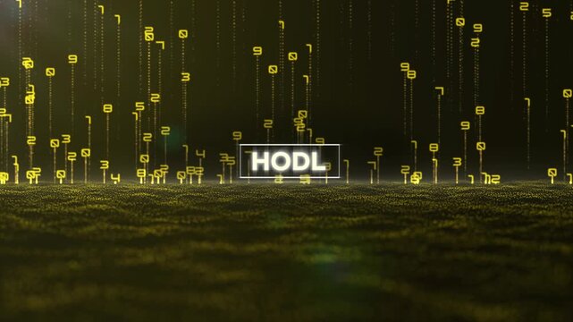 Matrix Binary Code and Hodl Word 