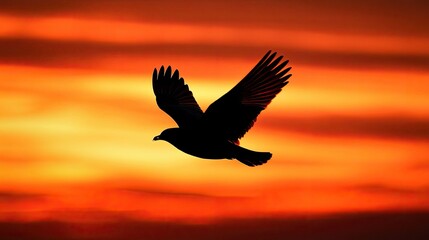 Fototapeta premium Bird Silhouette Soaring Through Fiery Sunset Skies