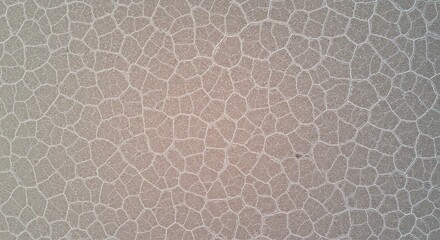 Cracked Earth Surface Texture in Natural Brown Colors for Backgrounds and Art
