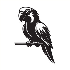 Minimalist Parrot  or Parrot head Logotype idea for branding