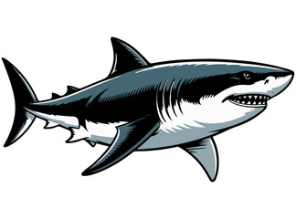 A big shark fish animal drawing vector illustration.