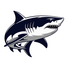 A  shark fish vector illustration, a dangerous shark fish swimming in the blue ocean.