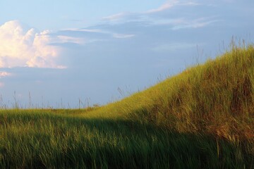 Lush green grass gently sways on rolling hills under a serene blue sky at sunset
