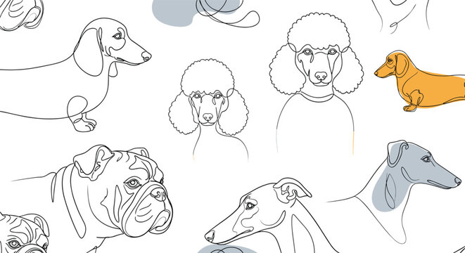 Charming collection of dog breed portraits in artistic sketch style with abstract color accents