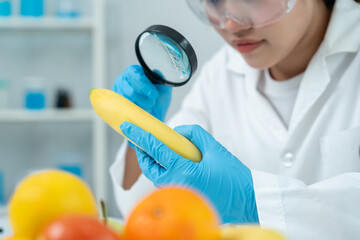 Scientist use magnifying glass to check physical occur from chemical on fruit and vegetable...