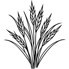 Fine Fescue line art vector