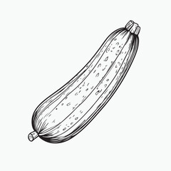 hand drawn vector illustration of a cucumber
