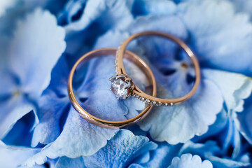 Elegant rings displayed on soft blue hydrangea petals for a romantic atmosphere
