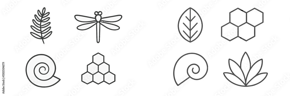 Poster abstract nature elements illustrated with simple line art designs depicting various flora and fauna 
