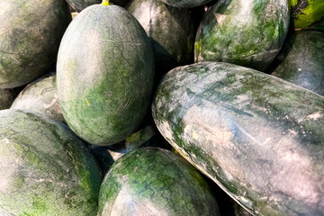 Fresh watermelon varieties displayed at a market in the summer