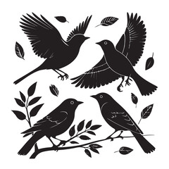 Obraz premium Set of black bird silhouettes. Vector elements for design.