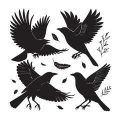 Obraz premium Set of black bird silhouettes. Vector elements for design.