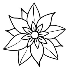 Edelweiss line art vector