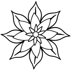 Edelweiss line art vector