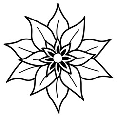 Edelweiss line art vector