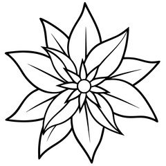 Edelweiss line art vector