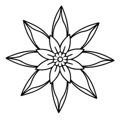 Edelweiss line art vector