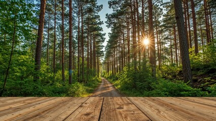 Obraz premium Pine Trees in a Rural Setting