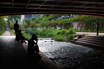 People Resting Under a Bridge by the Riverside in Seoul