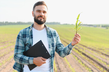 Agronomist holding corn sprout and clipboard in cultivated field