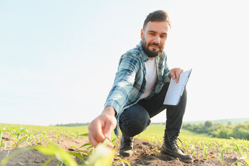 Agronomist inspecting young corn crop in field with clipboard