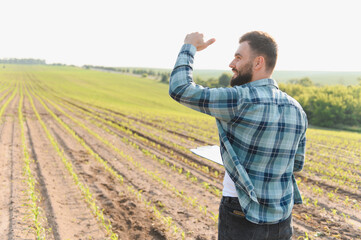 Agronomist inspecting corn field growth and gesturing positively