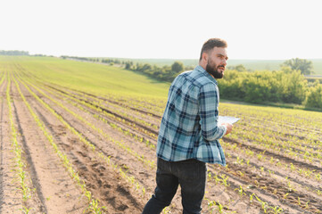 Agronomist walking and inspecting corn field with clipboard