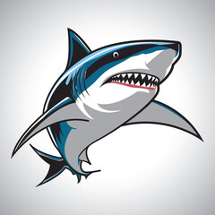 shark illustration image. shark icon