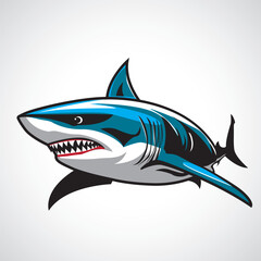 shark illustration image. shark icon
