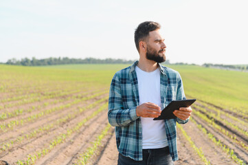 Farmer inspecting corn field using digital tablet for precision agriculture