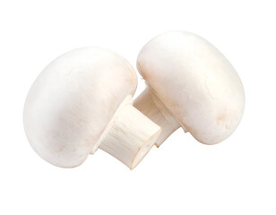 Two pristine white culinary mushrooms stand ready for delicious cooking preparations and healthy meals.