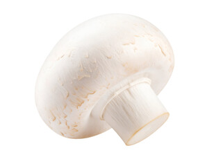 A pristine white mushroom showcases its natural texture and healthy form for culinary use.