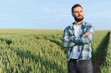 Farmer inspecting growing wheat field before harvest time