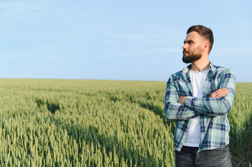 Farmer inspecting growing wheat field before harvest time