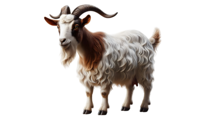 goat PNG