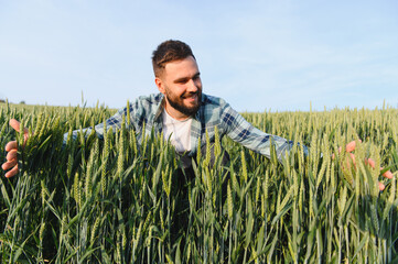 Happy farmer inspecting and touching green wheat ears in field before harvest