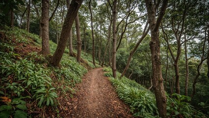 Fototapeta premium Charming hiking route surrounded by dense greenery in a coastal island's conservation area