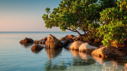 Calm coastal scene with clear water, large rocks, and lush green trees under a soft pastel sky at sunrise or sunset.