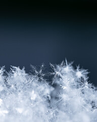 Macro snowflakes showing intricate winter details on dark background
