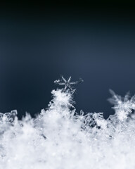 Macro snowflakes showing intricate winter details on dark background