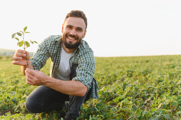 Agronomist holding soybean plant and smiling in cultivated field
