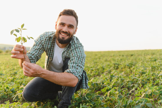 Agronomist holding soybean plant and smiling in cultivated field