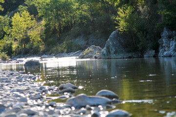 A clear river flows over a shallow, rocky bed, with lush green trees and large rocks lining the...