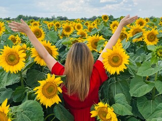 Blonde woman wearing a red dress is raising her arms in a large field of sunflowers, embracing the...