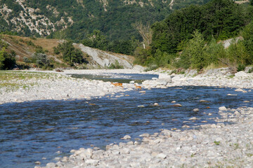 A clear river flows over a shallow, rocky bed, with lush green trees and large rocks lining the...
