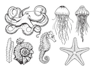 Fototapeta premium Hand-drawn engraved sea creatures including octopus jellyfish seahorse and starfish in vintage line style