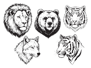 Vintage engraving of lion bear wolf and tiger heads in bold line wild animal illustration
