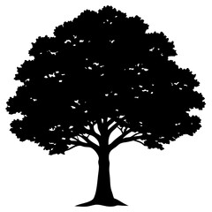 Fototapeta premium Big Tree Vector Silhouette Isolate White Background