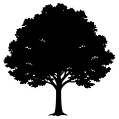 Big Tree Vector Silhouette Isolate White Background
